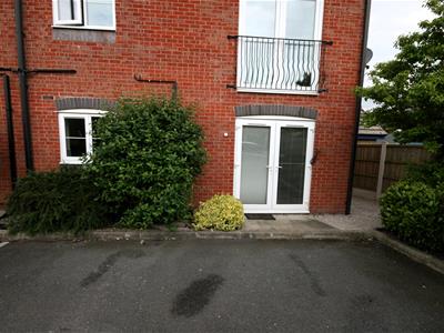 Picture 7